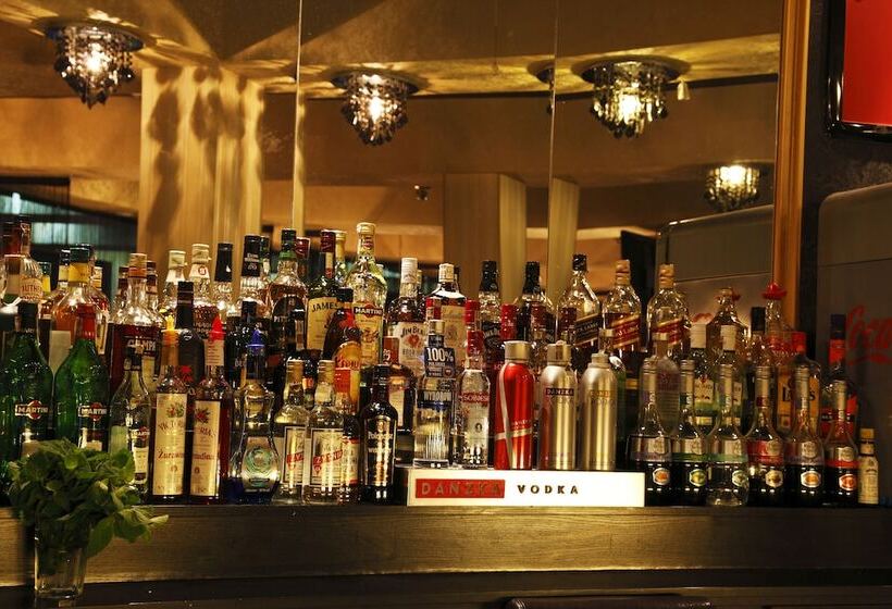 酒店 Iskierka Business & Spa