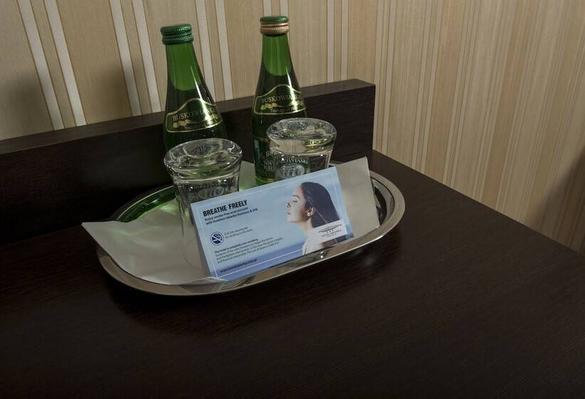 酒店 Iskierka Business & Spa