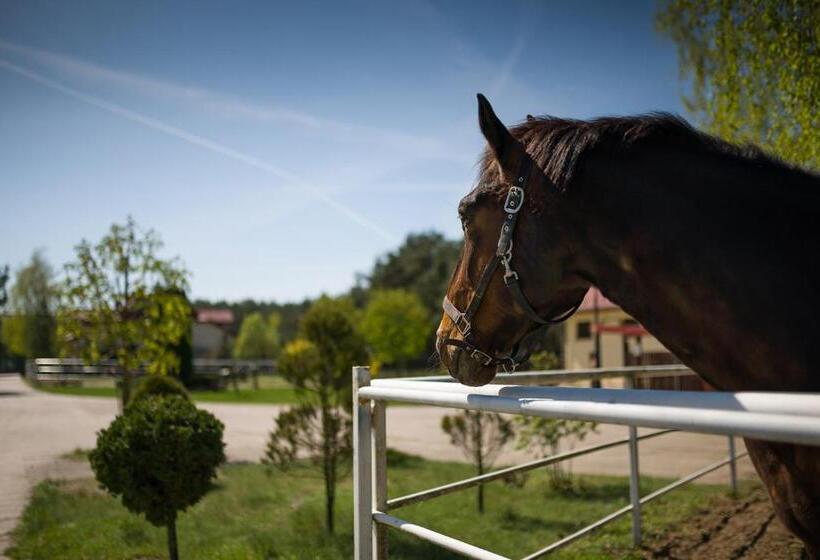 בית מלון כפרי Kawallo
