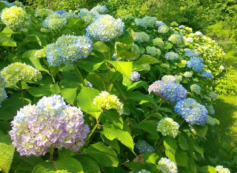 هتل Ortenia Apartments In Nature