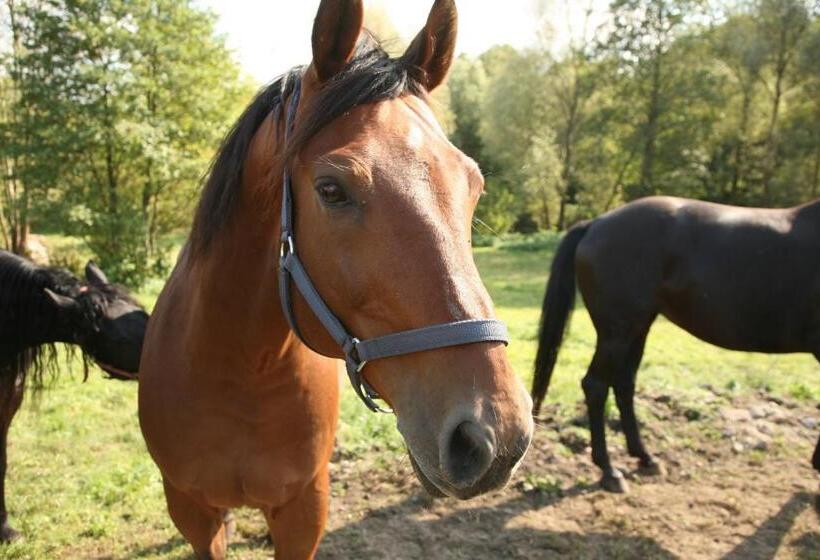 ホテル Osada Karbowko Wellness & Spa