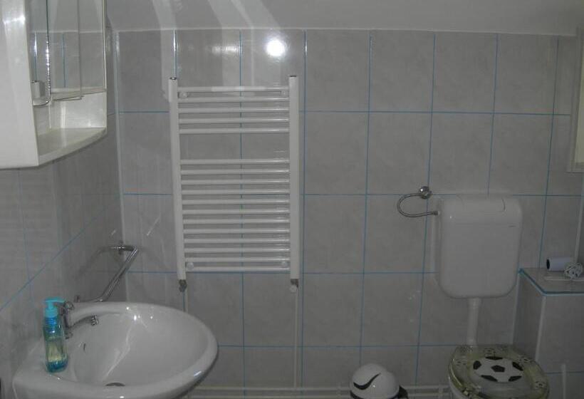 هتل Pensiunea Claudiu