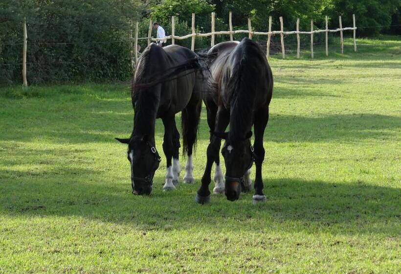 ホテル Plauter Kúria