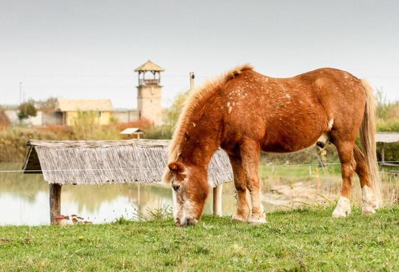 ホテル Plauter Kúria