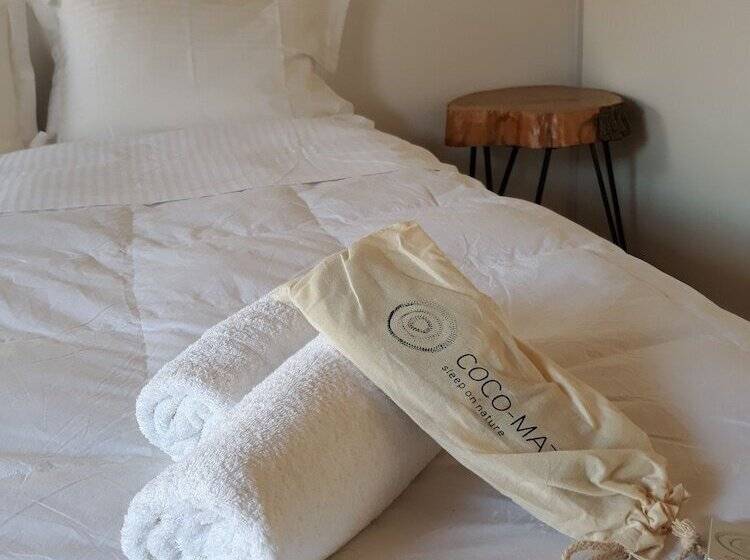 Отель Teacher S House