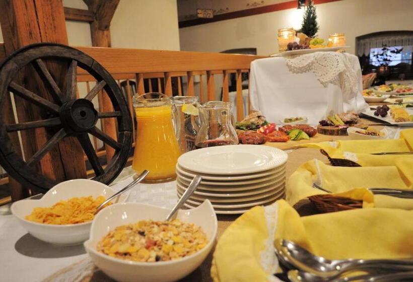 Отель Zamkowy Młyn