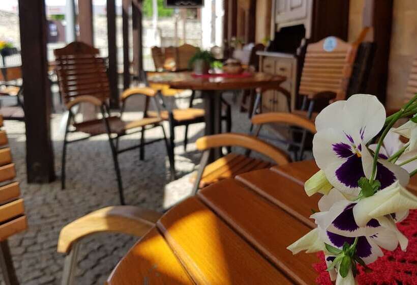 Отель Zamkowy Młyn