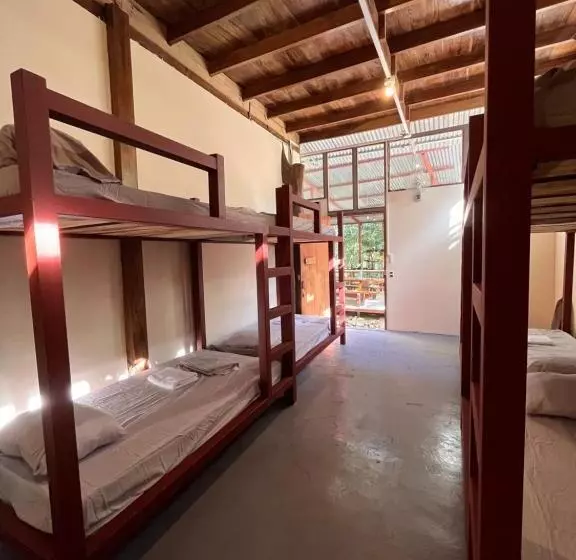 Hostel Tuanis Surf Camp