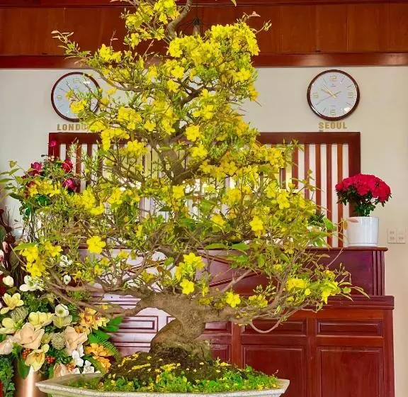 هتل Khách Sạn Khải Hoàn