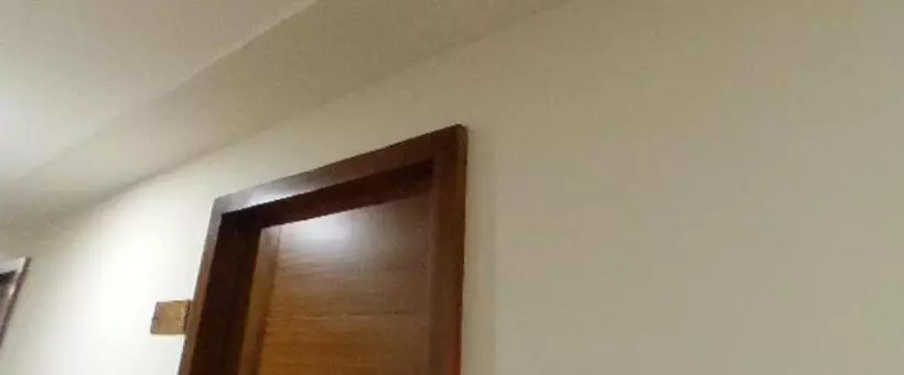 ホテル Misty Gate Kerala