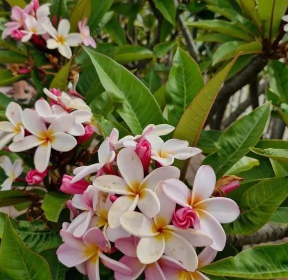 Majatalo A Time And A Place