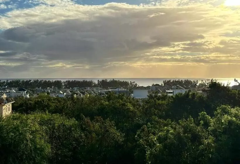 پانسیون J Vais Residence By Sov