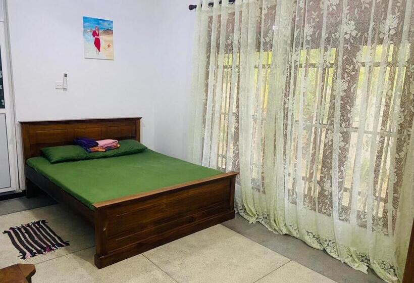 Pension (Hôtel basse catégorie) Serene _ The Shelter 1