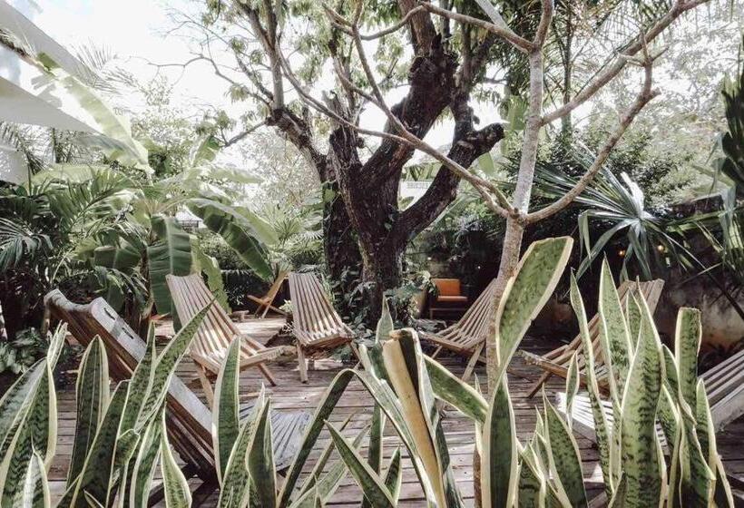 Bed and Breakfast Boutique Kaa