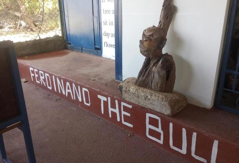 הוסטל Ferdinand Apartments