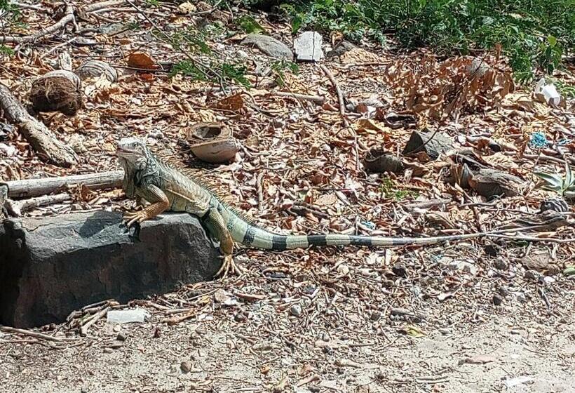 הוסטל Ferdinand Apartments