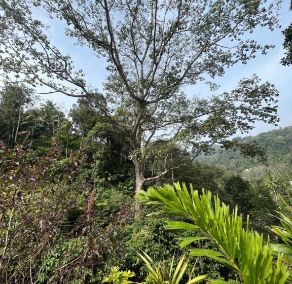 ペンション Mount Court Munnar