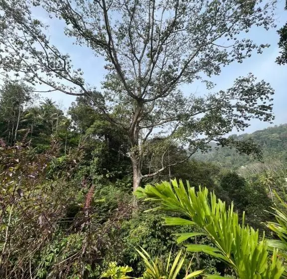 ペンション Mount Court Munnar