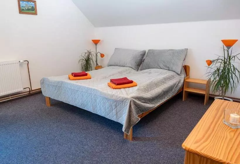 ペンション Penzion U Rybníka