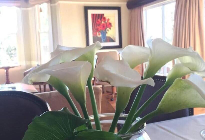 펜션 Tom S Place Guest House