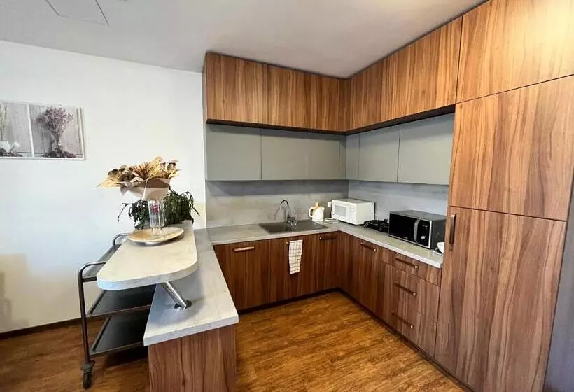 ペンション Ubytovanie Pod Bielymi Karpatmi