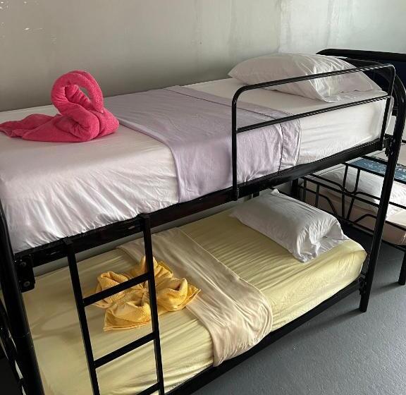 הוסטל Selvatosleep