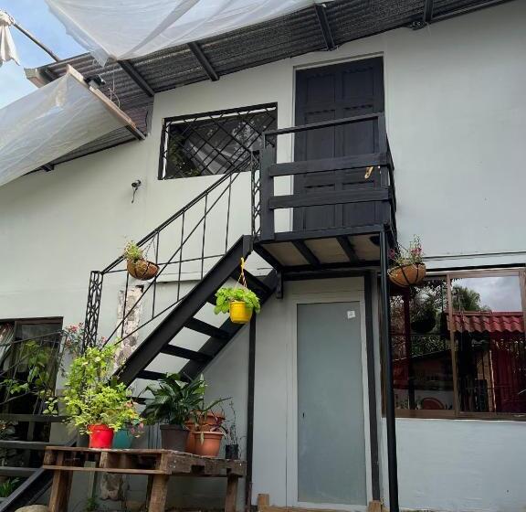 הוסטל Selvatosleep