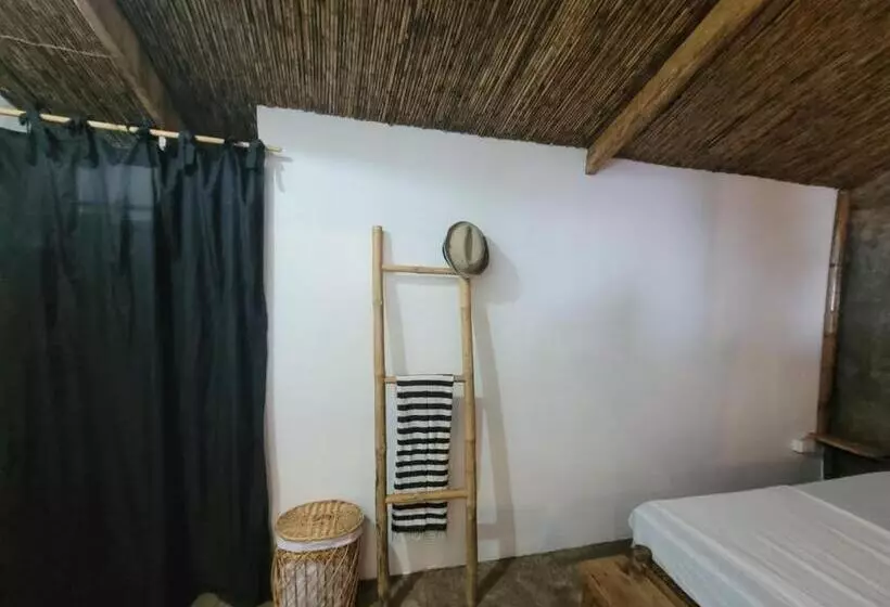هاستل Tarzan S House