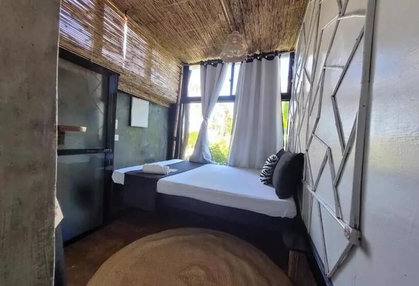 هاستل Tarzan S House