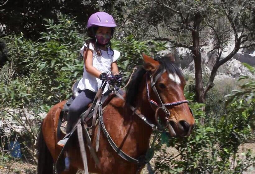 Bed & Breakfast La Casita De Chocolate