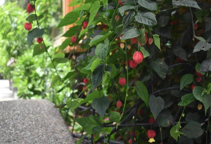 Bed & Breakfast La Casita De Chocolate