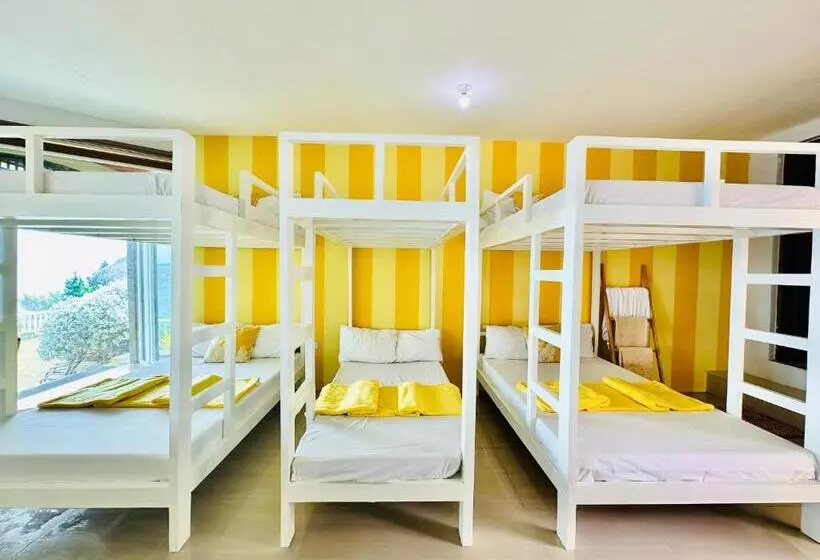 ホテル Dreamland Paradise Resort