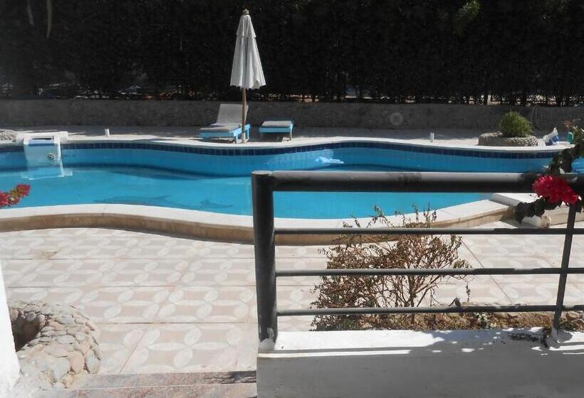 هتل Fox House Beach Resort & Spa El Gouna