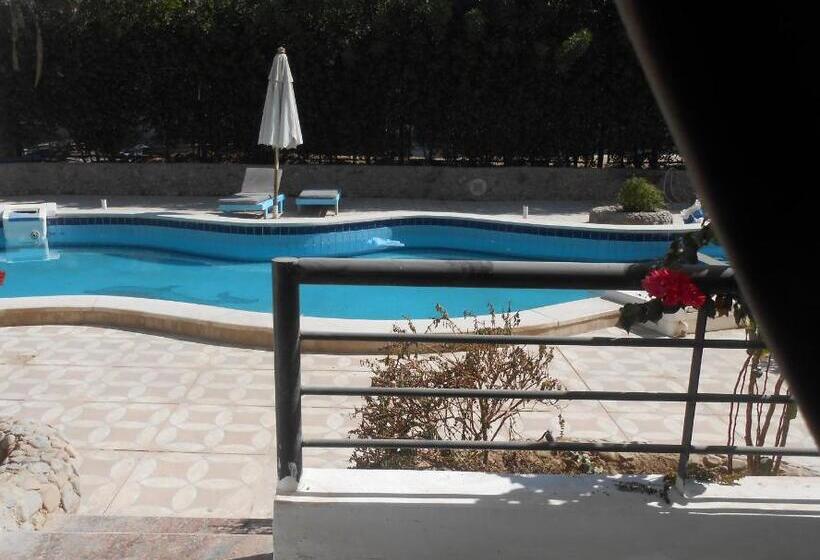 هتل Fox House Beach Resort & Spa El Gouna
