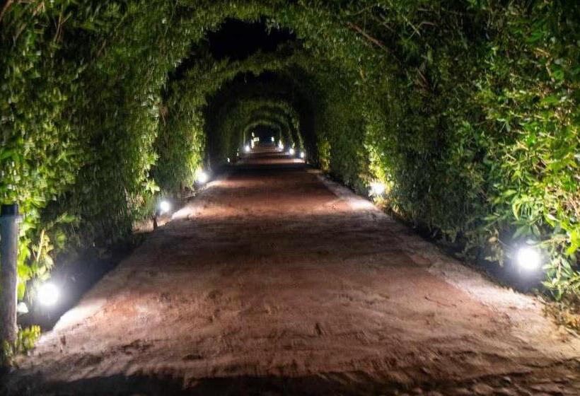 هتل Fox House Beach Resort & Spa El Gouna