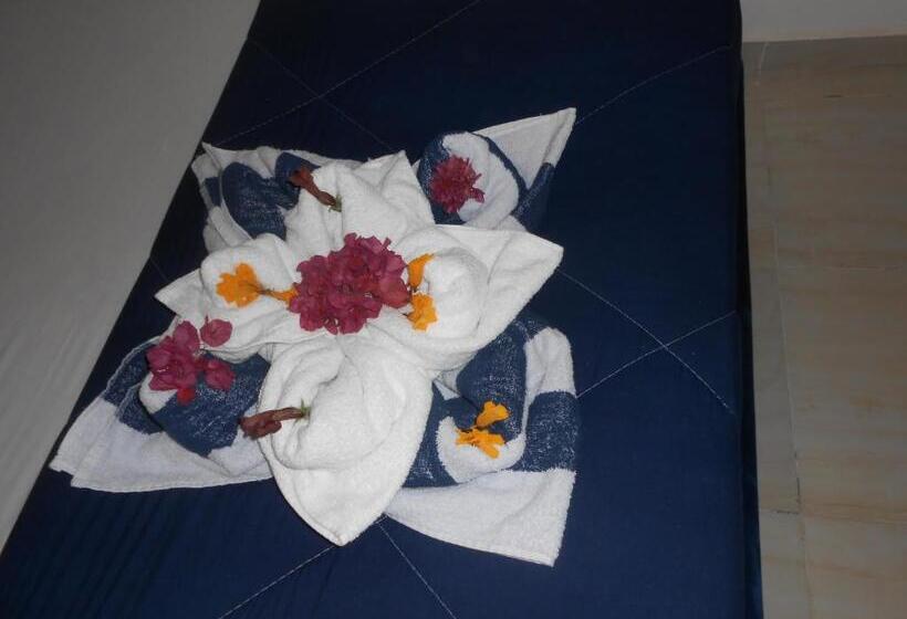 هتل Fox House Beach Resort & Spa El Gouna