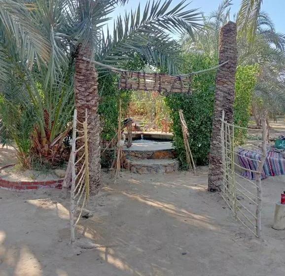 هتل Siwa Ajubar Camp