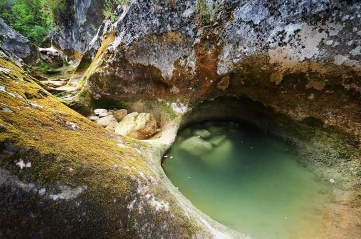 پانسیون Prenoćište Stojadinović