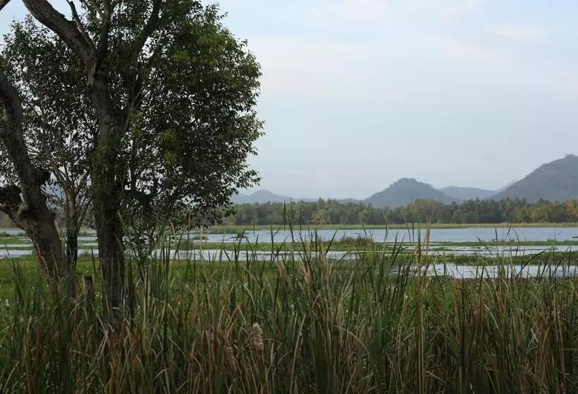 Green Lake View Yala Resort