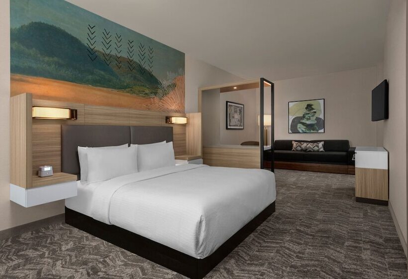 Отель Springhill Suites By Marriott Chula Vista Eastlake