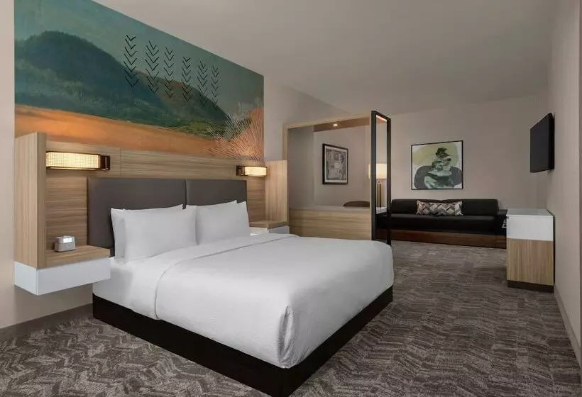 هتل Springhill Suites By Marriott Chula Vista Eastlake