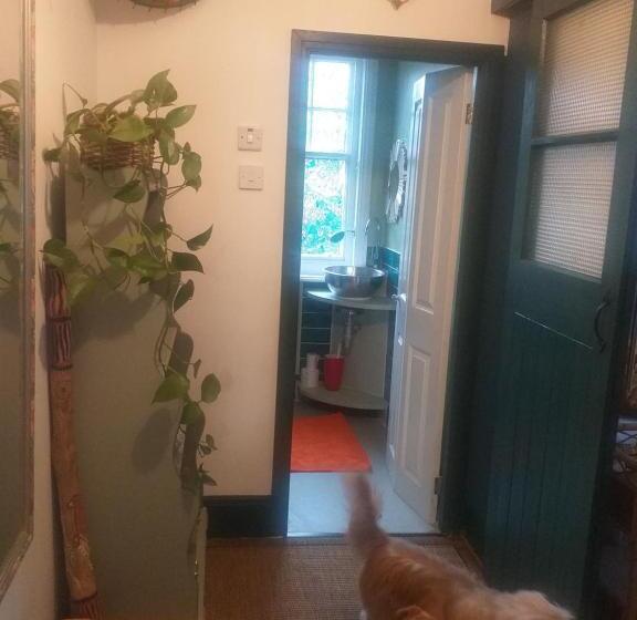 Jesmond B&b Kingsize Ensuite Room 2