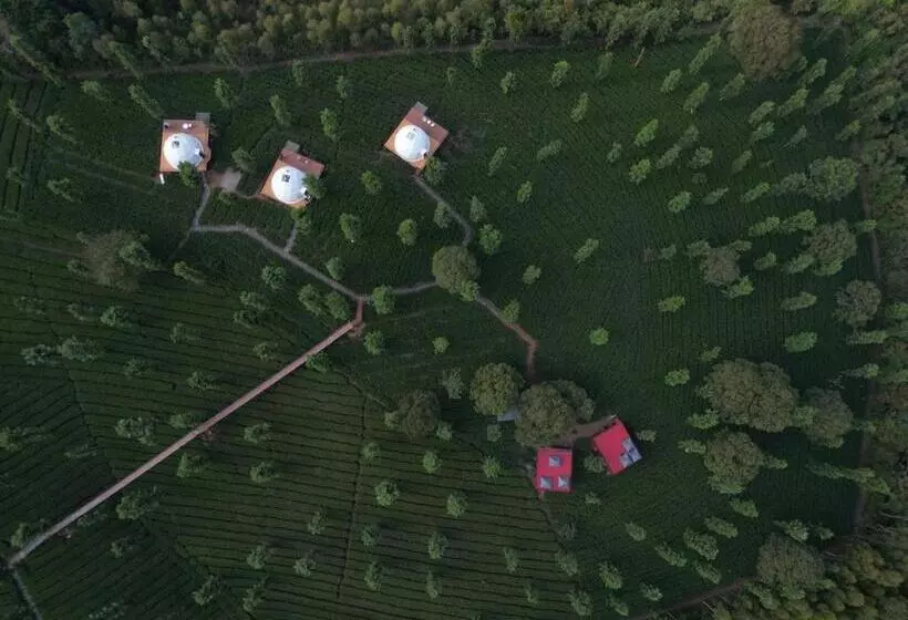 Lomakeskus Vythiri Tea Valley I Best Hotel In Wayanad L Hotels In Vythiri Wayanad