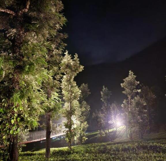 Lomakeskus Vythiri Tea Valley I Best Hotel In Wayanad L Hotels In Vythiri Wayanad
