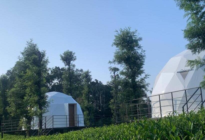 Resort Otel Vythiri Tea Valley I Best Hotel In Wayanad L Hotels In Vythiri Wayanad