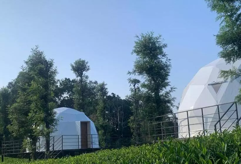 Lomakeskus Vythiri Tea Valley I Best Hotel In Wayanad L Hotels In Vythiri Wayanad