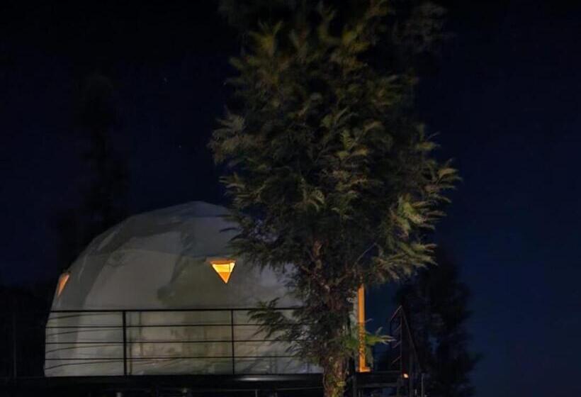 Lomakeskus Vythiri Tea Valley I Best Hotel In Wayanad L Hotels In Vythiri Wayanad