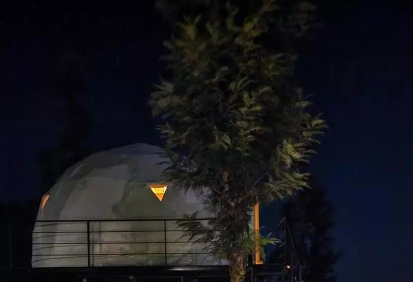 Lomakeskus Vythiri Tea Valley I Best Hotel In Wayanad L Hotels In Vythiri Wayanad