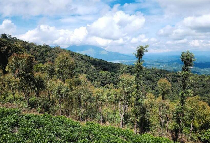 Lomakeskus Vythiri Tea Valley I Best Hotel In Wayanad L Hotels In Vythiri Wayanad