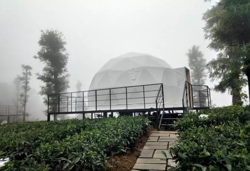 Lomakeskus Vythiri Tea Valley I Best Hotel In Wayanad L Hotels In Vythiri Wayanad